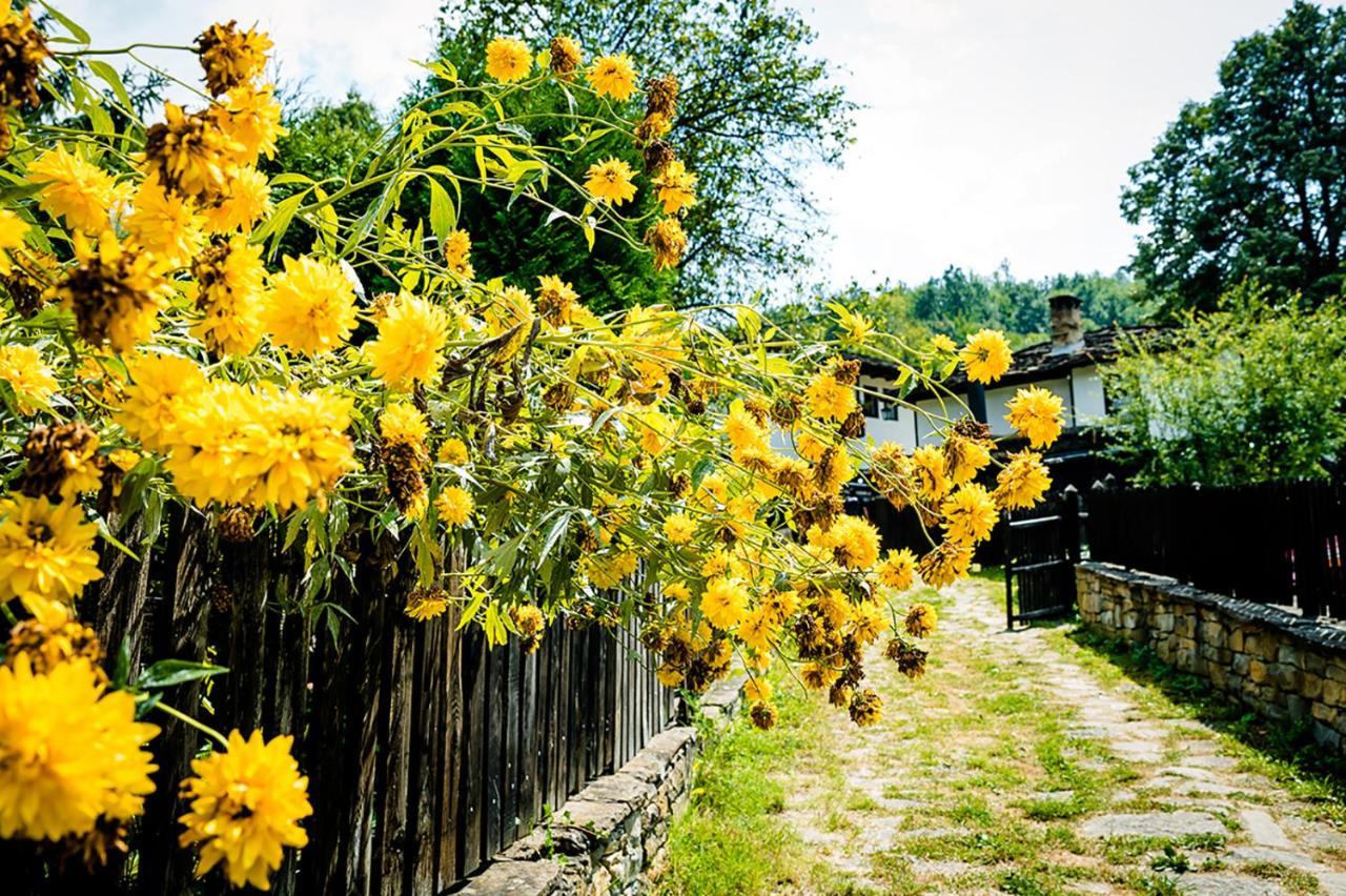 Strannopriemnitsa Guest House Bozsenci Kültér fotó